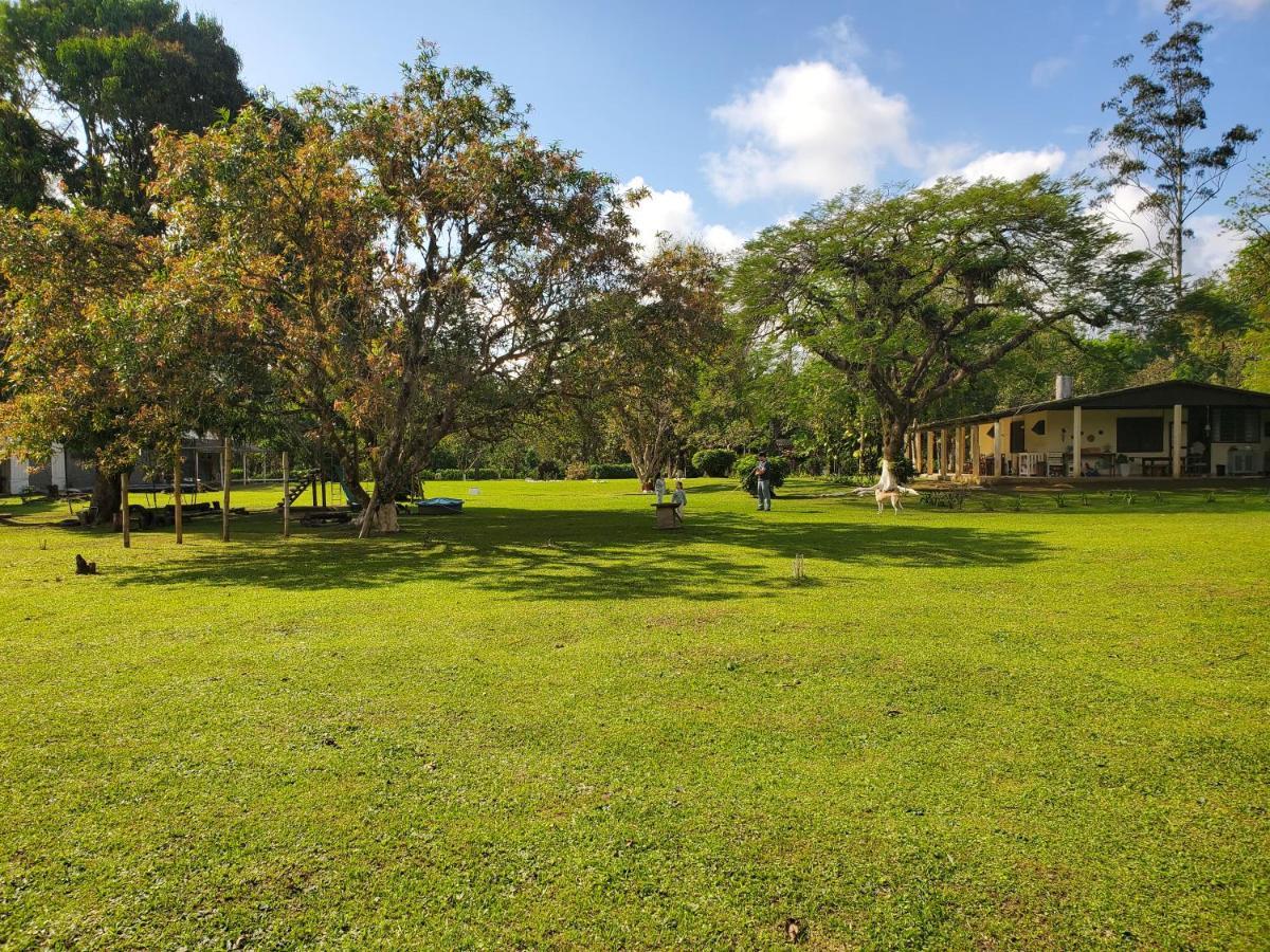 Ecoisa De Chacara - Casa De Vidro, Casa De Campo Morretes Ngoại thất bức ảnh