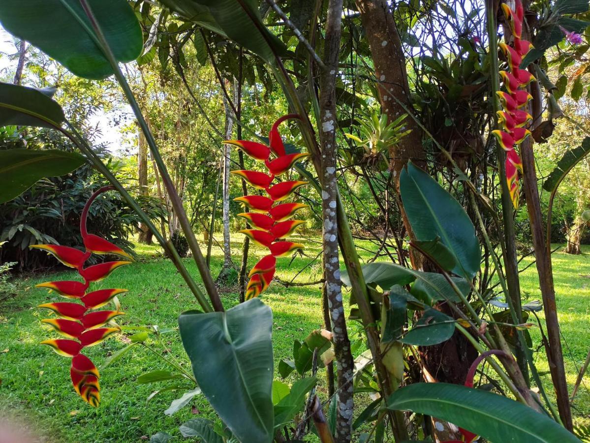 Ecoisa De Chacara - Casa De Vidro, Casa De Campo Morretes Ngoại thất bức ảnh