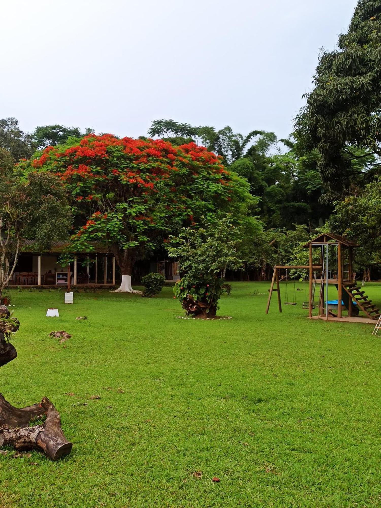 Ecoisa De Chacara - Casa De Vidro, Casa De Campo Morretes Ngoại thất bức ảnh